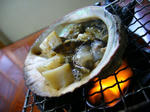 izu-2007-2.jpg