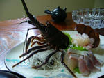 izu-2007-5.jpg