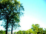 20071028-5.jpg