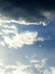 20080119-1.jpg