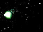 20080203-1.jpg