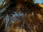 20080328-3.jpg
