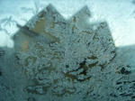 b3868265.jpg
