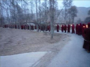 20090225tibet.JPG