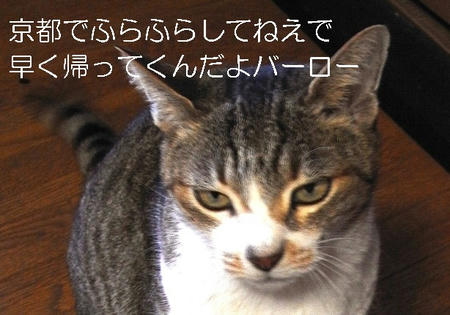 RIMG0071.jpg
