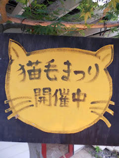 DSCN0253.JPG