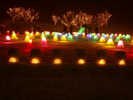 P2110032_.jpg
