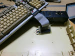 CIMG0247.JPG