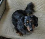 DSC00189.jpg