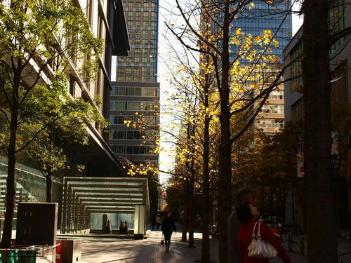 20081207-marunouchi-10.jpg