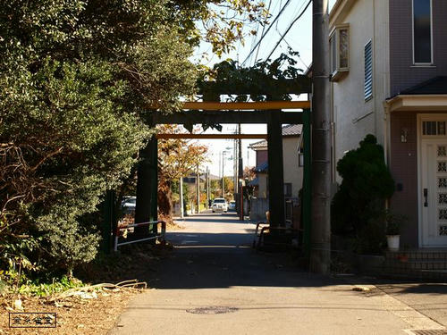 20081122-hikawanyotai-03.jpg