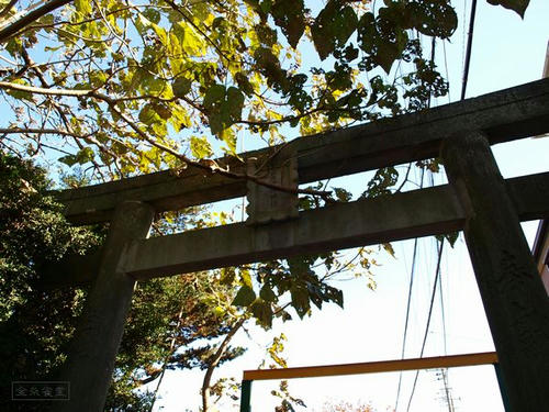 20081122-hikawanyotai-04.jpg