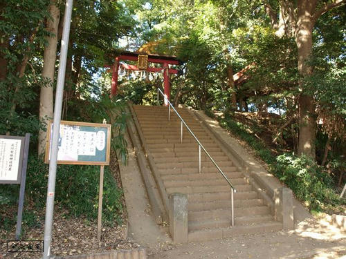 20081122-hikawanyotai-05.jpg