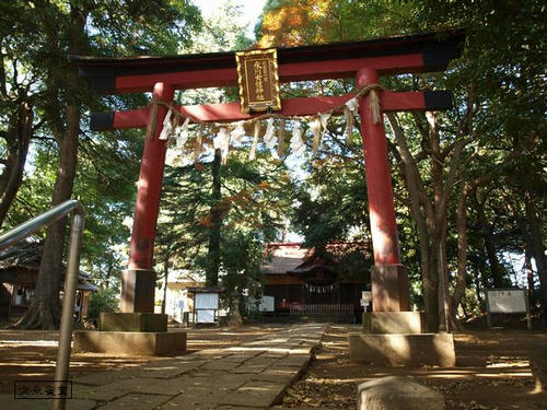 20081122-hikawanyotai-06.jpg