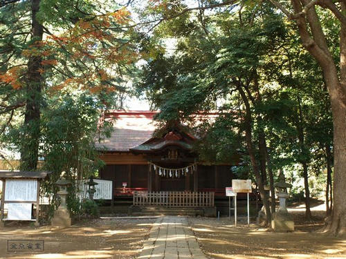 20081122-hikawanyotai-09.jpg