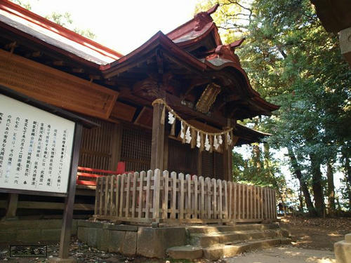20081122-hikawanyotai-10.jpg