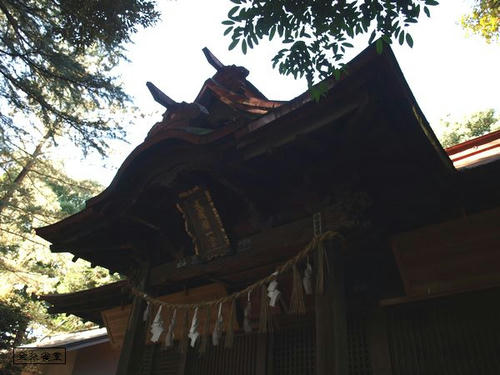 20081122-hikawanyotai-11.jpg