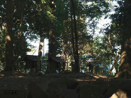 20081122-hikawanyotai-15.jpg