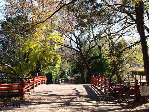 20081122-hikawanyotai-17.jpg