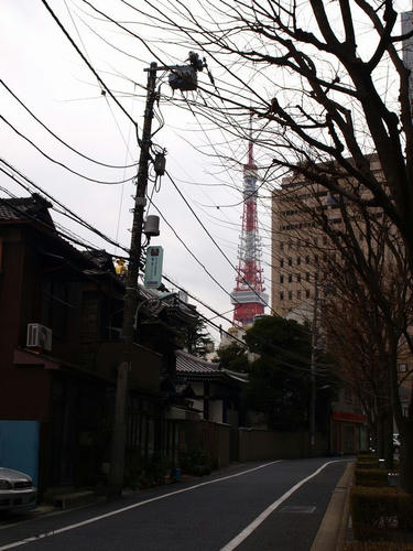 20090211-roppongi-shinbashi-10.jpg