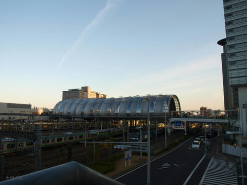 20081122-hikawa-02.jpg