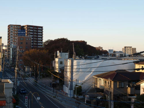20081122-hikawa-04.jpg