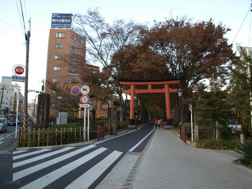 20081122-hikawa-05.jpg
