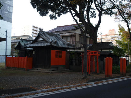 20081122-hikawa-07.jpg