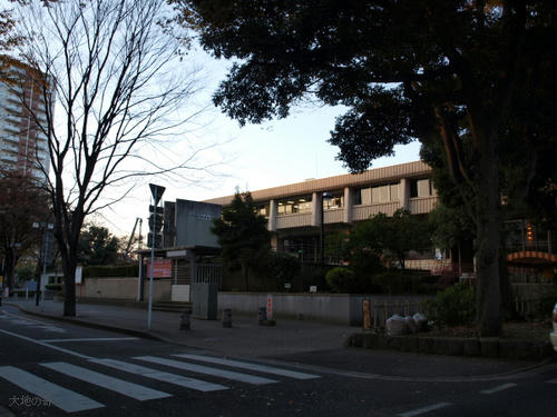20081122-hikawa-08.jpg