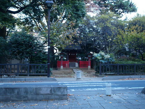 20081122-hikawa-12.jpg