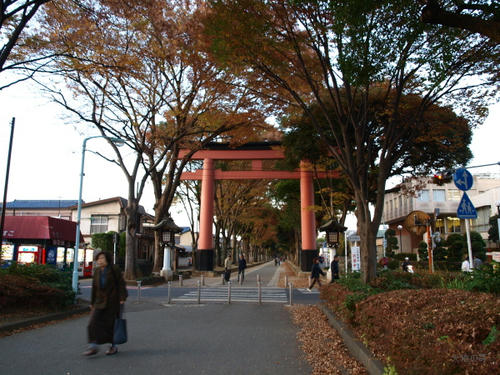 20081122-hikawa-13.jpg