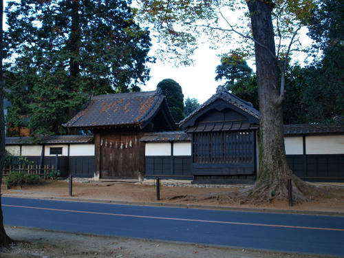 20081122-hikawa-14.jpg
