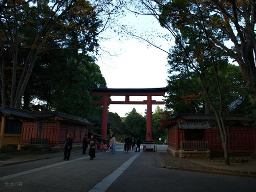 20081122-hikawa-15.jpg