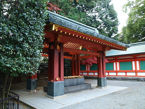 20081122-hikawa-16.jpg