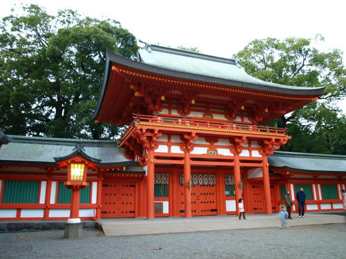 20081122-hikawa-17.jpg