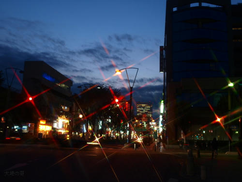 20081122-hikawa-20.jpg
