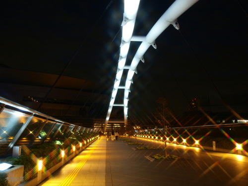 20081122-hikawa-21.jpg