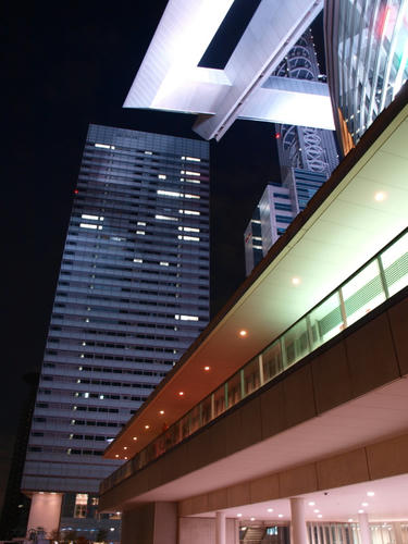 20081122-hikawa-22.jpg