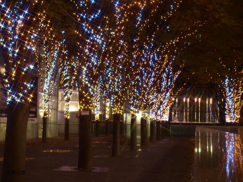 20081122-hikawa-23.jpg