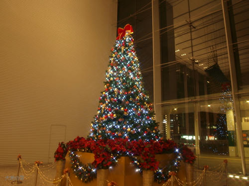20081122-hikawa-25.jpg