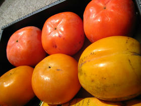3種類の柿