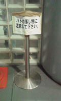ハトの落し物・・・