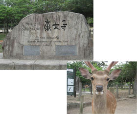 東大寺