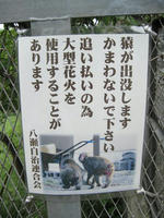 道端の看板。。。
