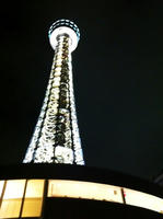 IMG_0339.JPG