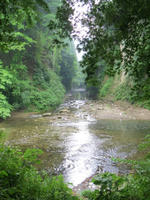 IMG_1358.JPG