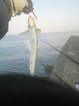 2013030707390000.jpg