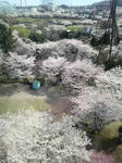 2009040613250000.jpg