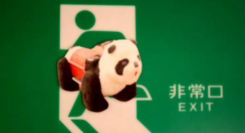 rebelpanda.jpg