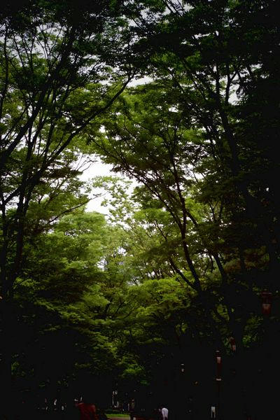 k1.jpg